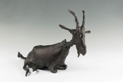 goat lying down, 2018