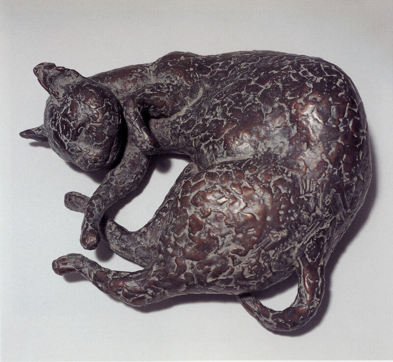cat, 2000
