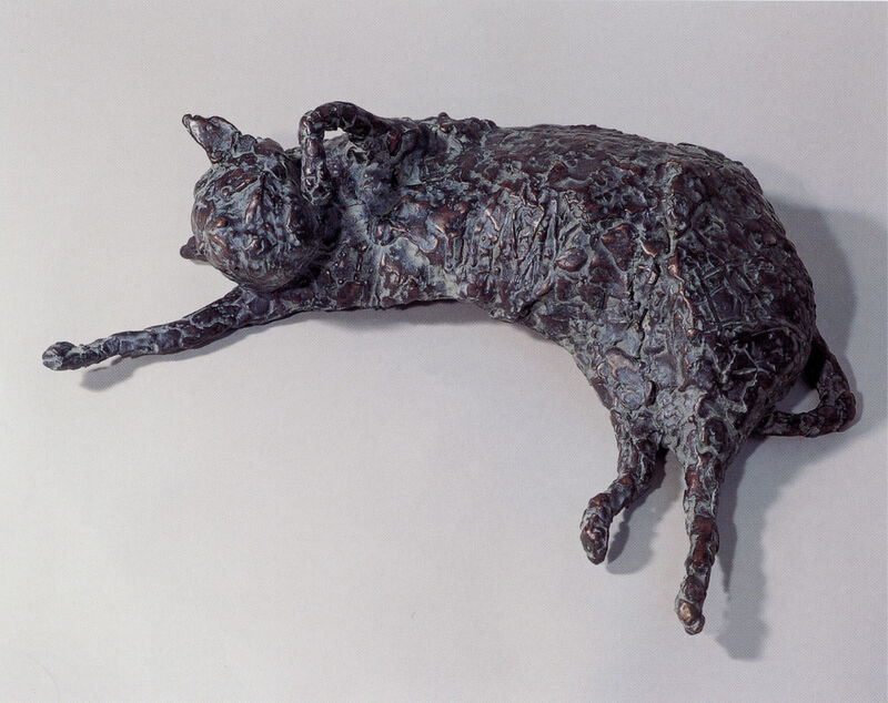 cat, 2000