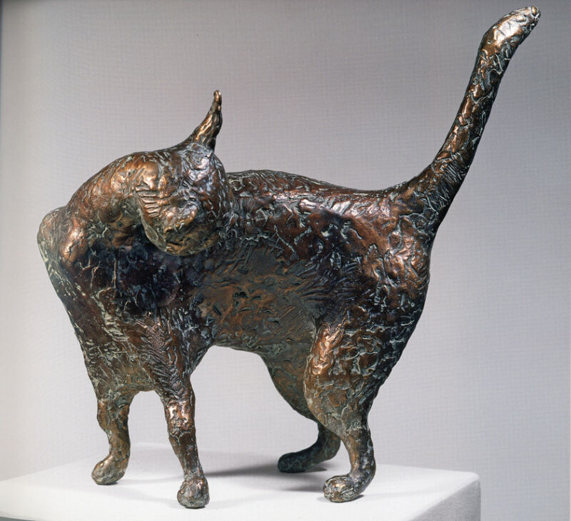 cat, 2007