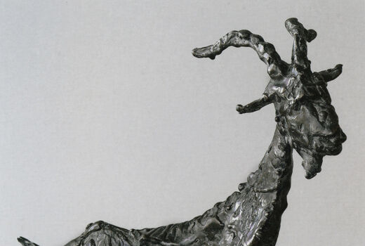 goat, 2008