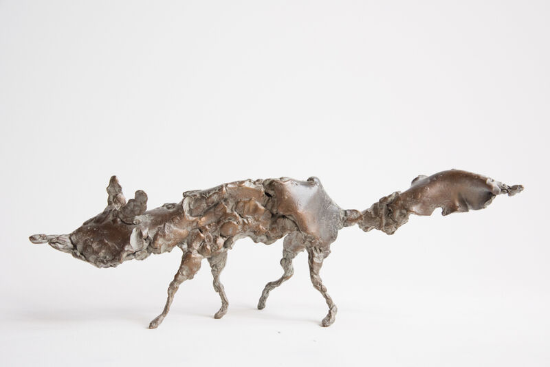 running fox, 2013