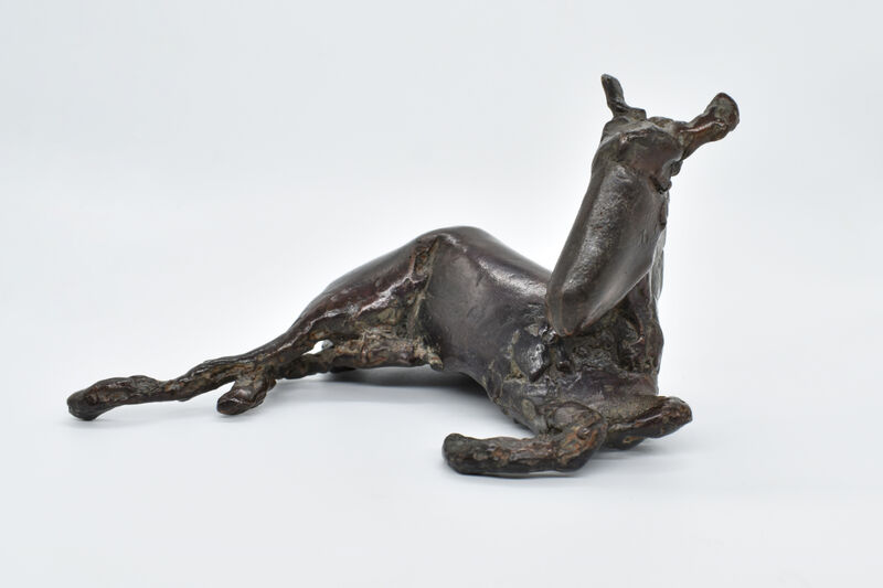 foal lying down, 2008