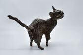 young cat, 2006