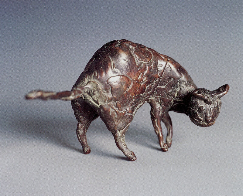 cat, 2001