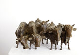 5 cows, 2004