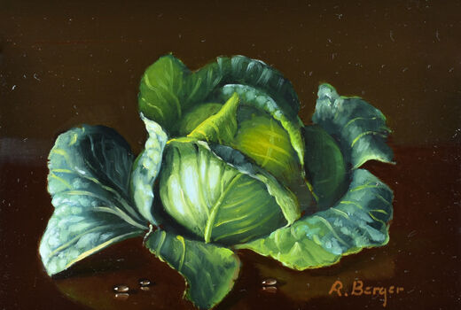 still life with cabbage