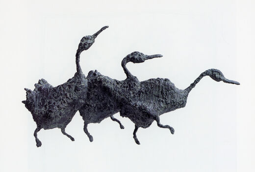 3 ducks, 2001