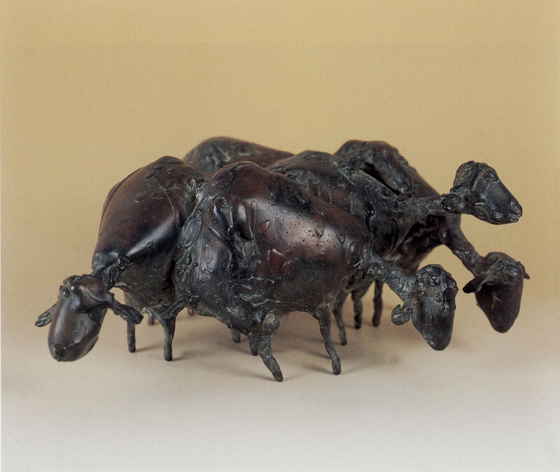 5 sheep, 2001