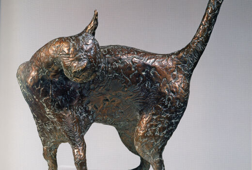 cat, 2007