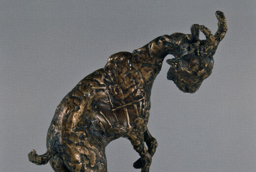 jumping billy goat, 2006