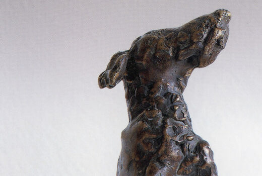 dog, 2007