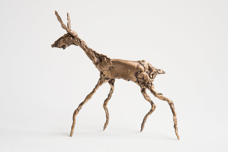 fawn, 2014