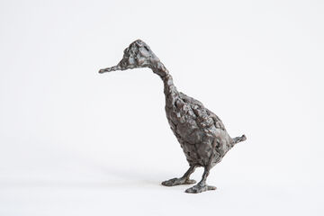 duck, 2016