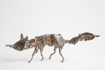running fox, 2013