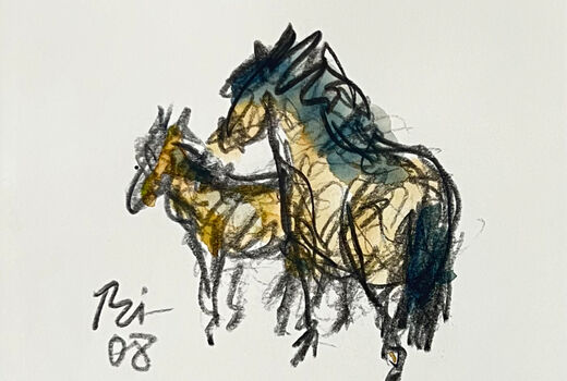 2 Pferde, 2008