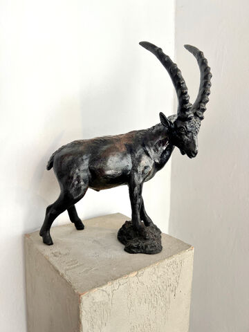 Capricorn, 1982