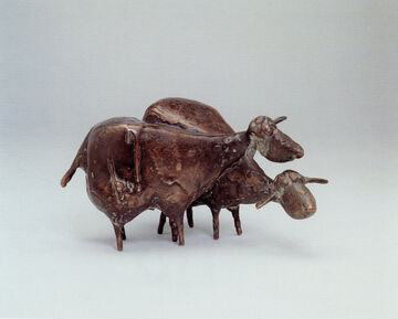 scheep, 1996