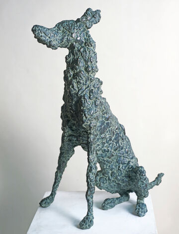 dog, 2004