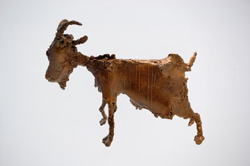 goat, 2009