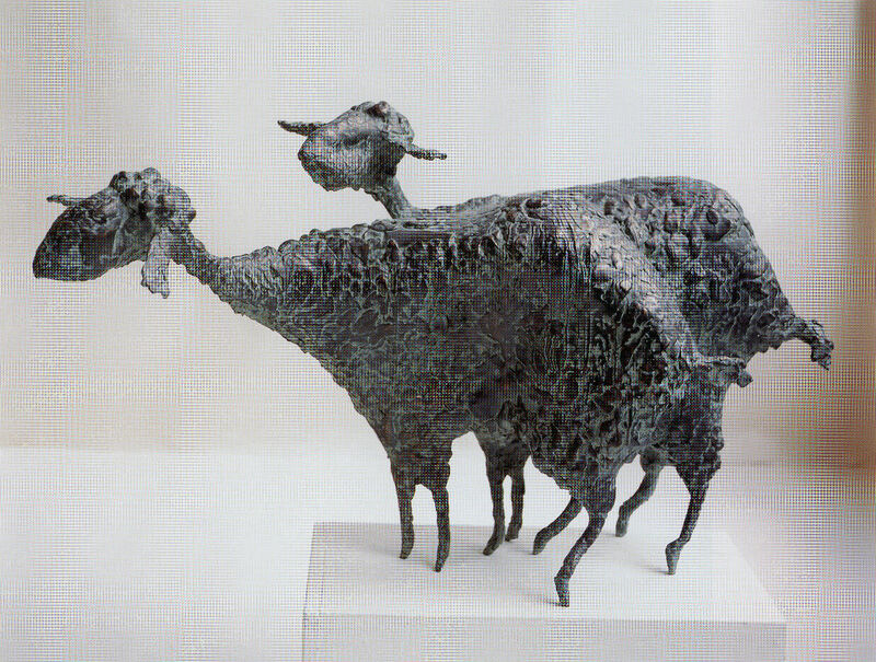 sheep, 1998