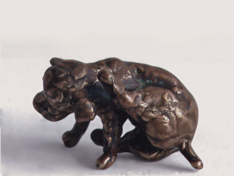 puppy, 2008