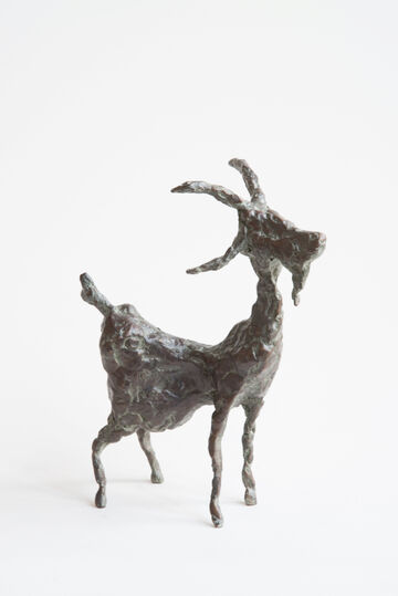 goat, 2013