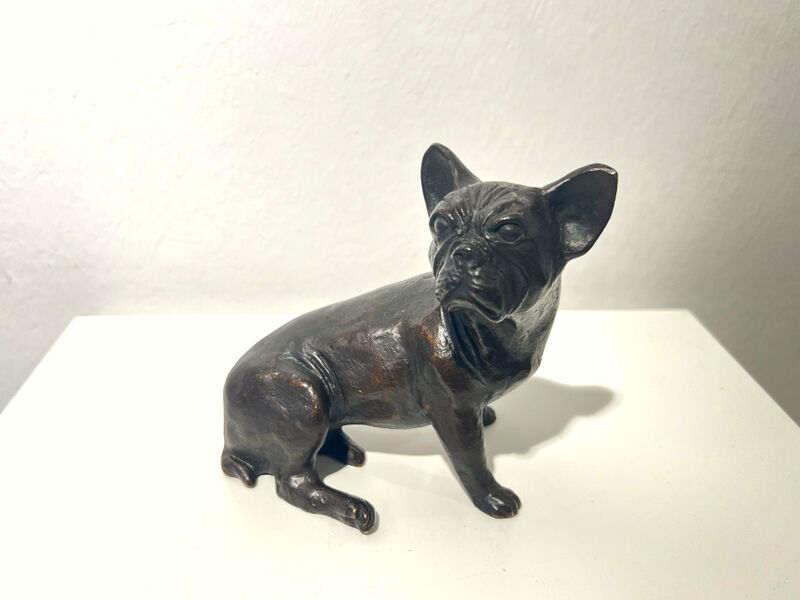 kleine, französische Bulldogge, 1998