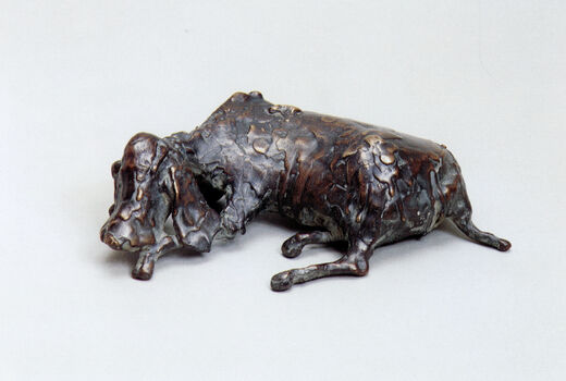 dog lying down, 1997