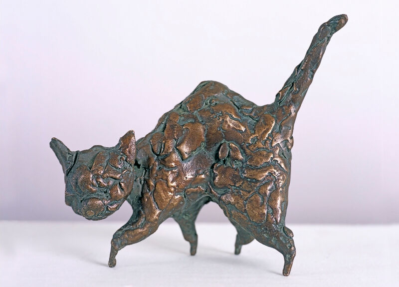 cat, 2004