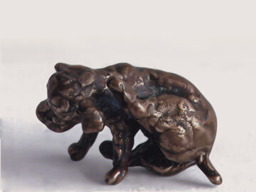 puppy, 2008