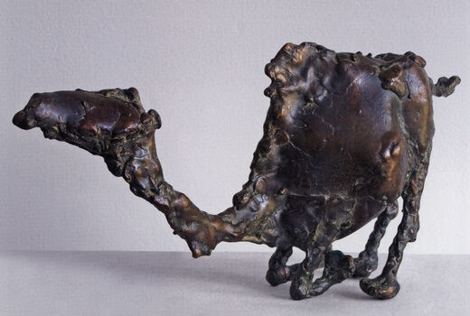 camel, 2008