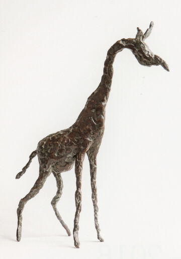 giraffe, 2015