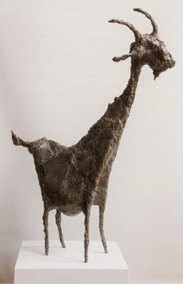 standing goat, 2018