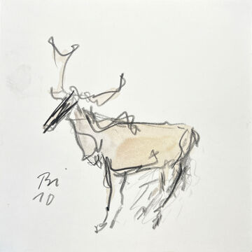 moose, 2010