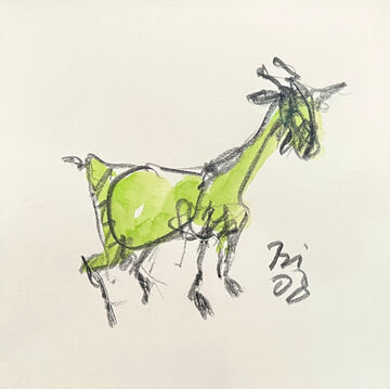 goat, 2008