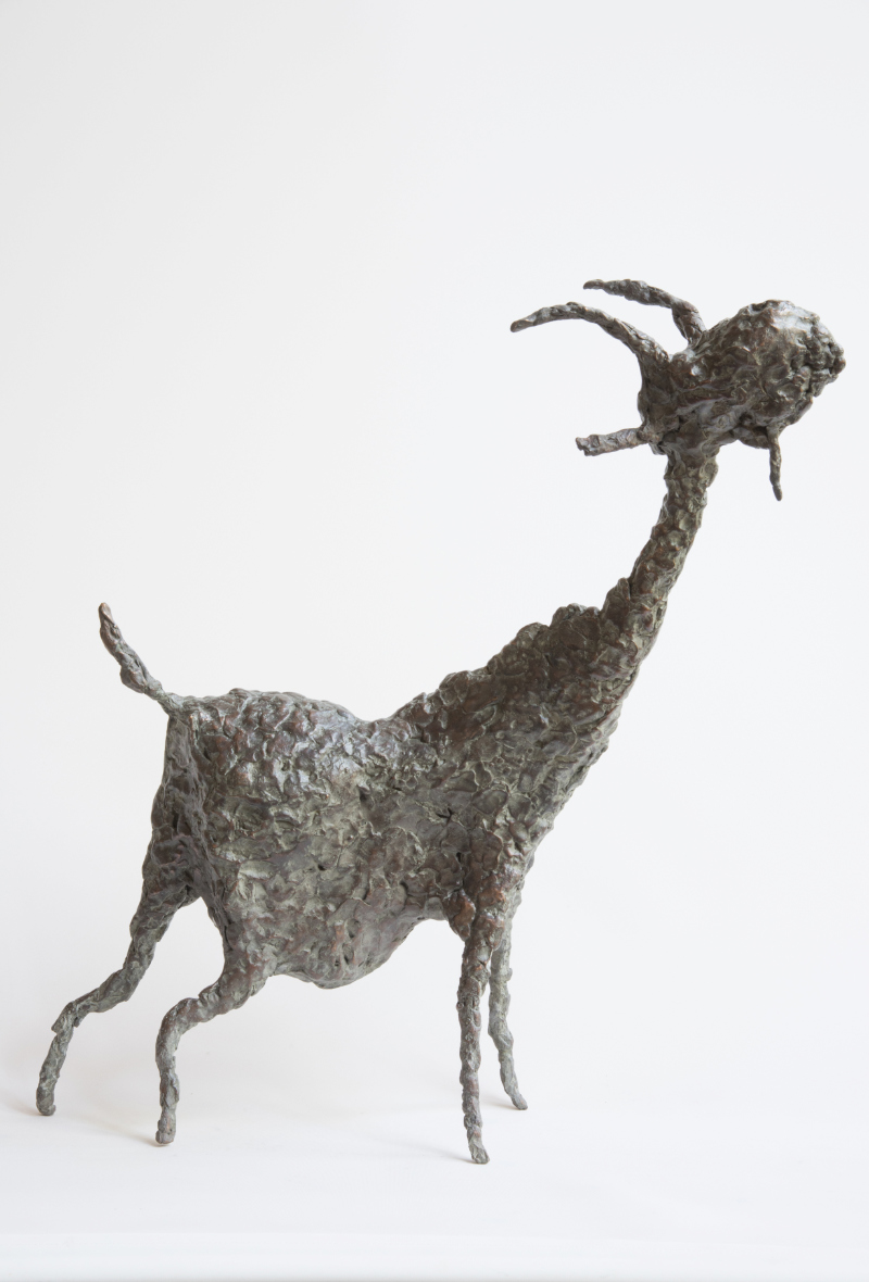 goat, 2018
