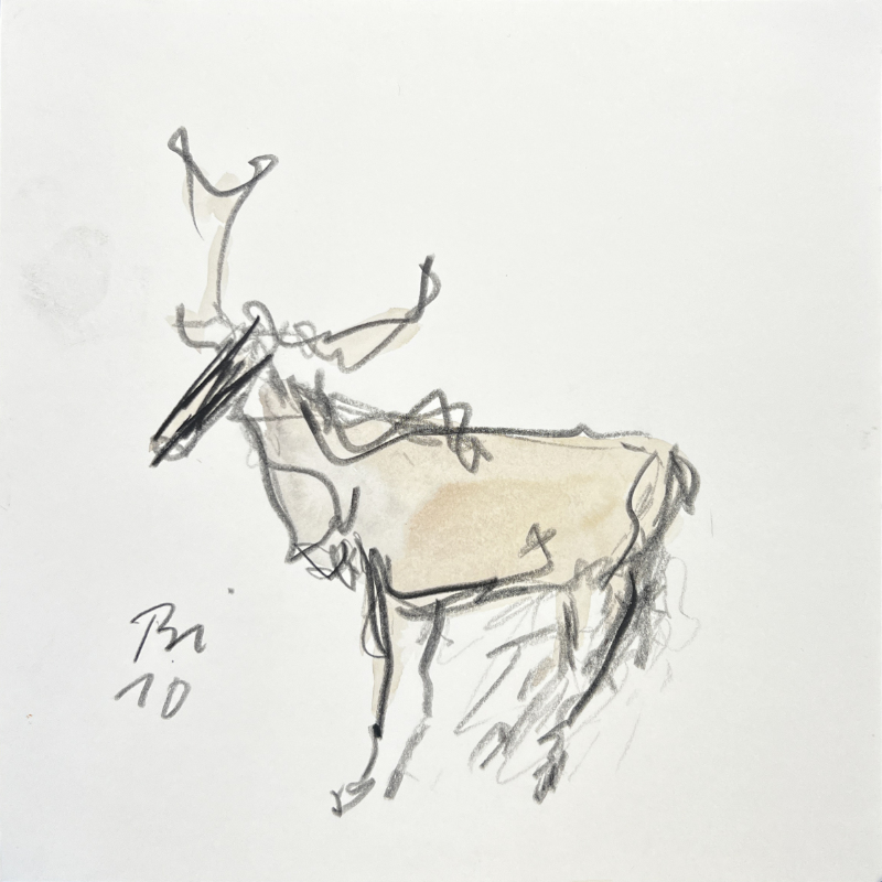 moose, 2010